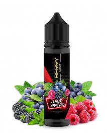 Berry MINT  50ml, fara nicotina